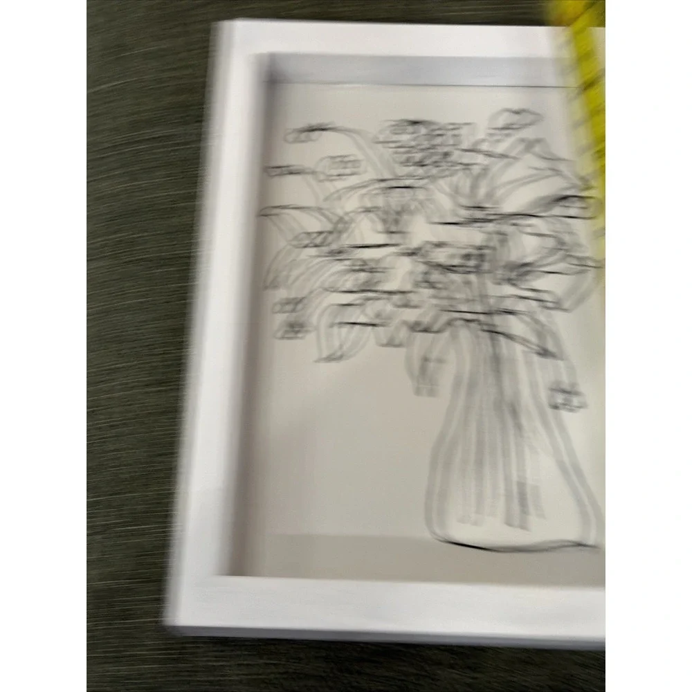 Hobby Lobby Wire Floral Wall Art White Shadow‎ Box Frame Black Flower Vase Decor